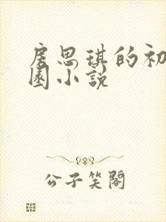 房思琪的初恋乐园小说