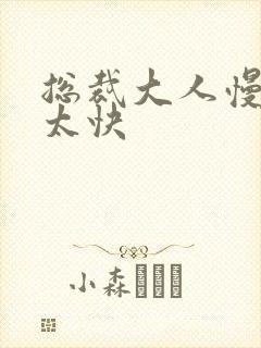 总裁大人慢点别太快