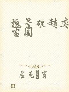 魏晨破赵奕欢的处图