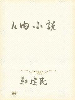 h肉小说