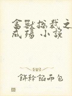 禽兽总裁之虐爱成殇 小说