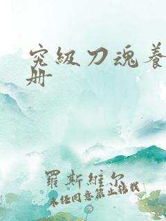 究级刀魂养成手册