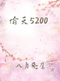 偷天5200