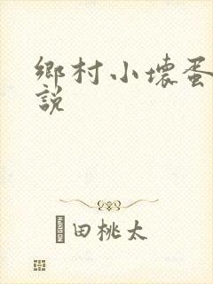 乡村小坏蛋 小说