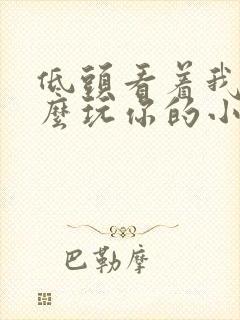 低头看着我是怎么玩你的小说