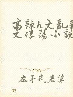 高辣h文乱乳h文浪荡小说苏柔