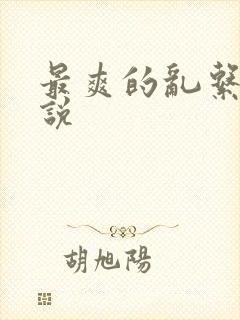 最爽的乱系列小说