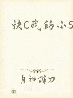 快C我的小SB
