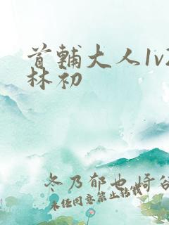 首辅大人1v2林初