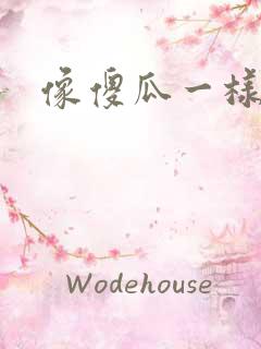 像傻瓜一样去爱