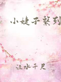 小婕子系列小说