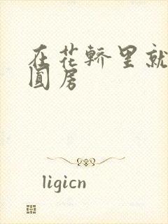 在花轿里就开始圆房