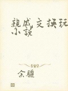 亲戚交换玩美妇小说