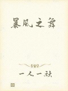 暴风之舞