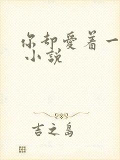 你却爱着一个他 小说