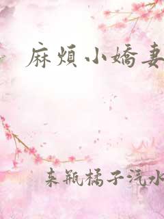 麻烦小娇妻