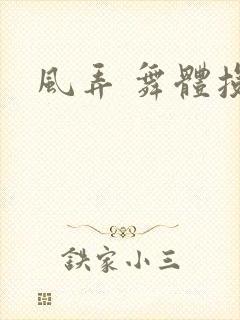 风弄 舞体投递