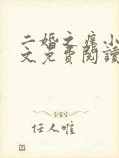 二婚之痒小说全文免费阅读