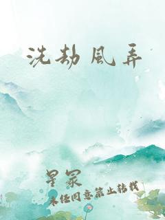 洗劫 风弄