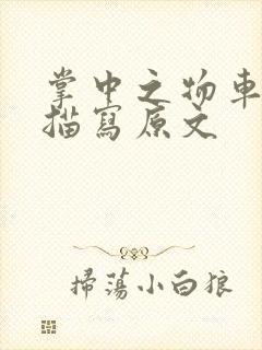 掌中之物车里震描写原文