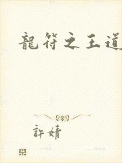 龙符之王道天下