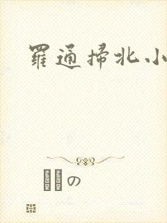 罗通扫北小说