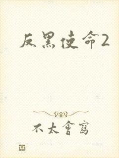 反黑使命2