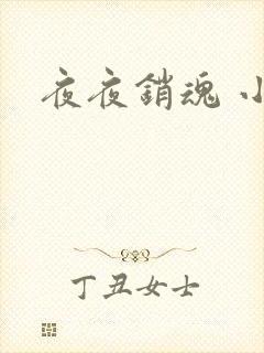 夜夜销魂 小说