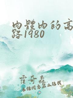 肉体内的高速公路1980