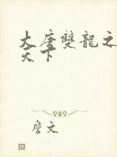 大唐双龙之无敌天下