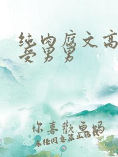 纯肉腐文高H总受男男