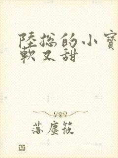 陆总的小宝贝又软又甜