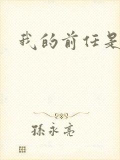 我的前任是极品