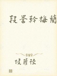 段誉干梅兰竹菊