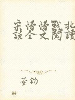 宋惜惜战北望小说全文阅读