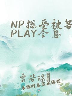 NP总受被各种PLAY全息