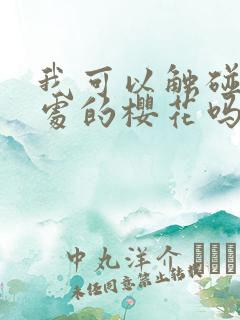 我可以触碰你深处的樱花吗