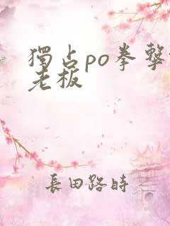 独占po拳击馆老板