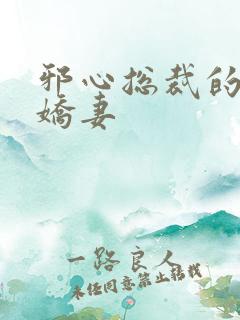 邪心总裁的纯情娇妻