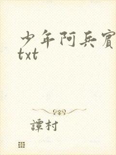 少年阿兵宾小说txt