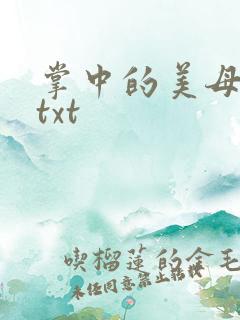 掌中的美母版主txt
