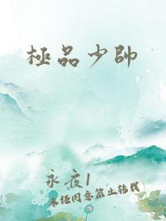 极品少帅