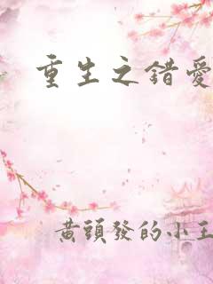 重生之错爱