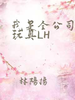 我是全公司发泄玩具LH