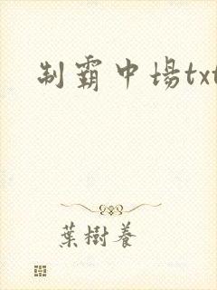 制霸中场txt
