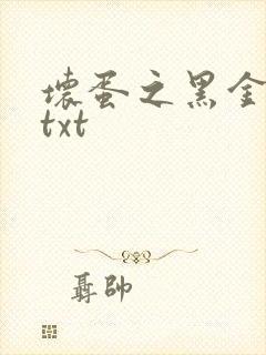 坏蛋之黑金帝国txt