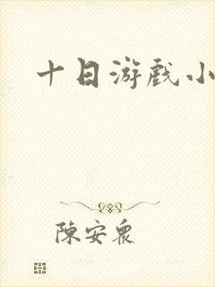 十日游戏小说