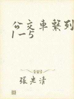 公交车系列合集1一5