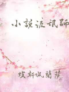 小说流氓师表