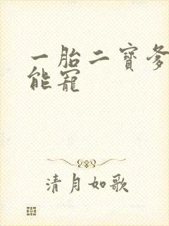 一胎二宝爹地超能宠